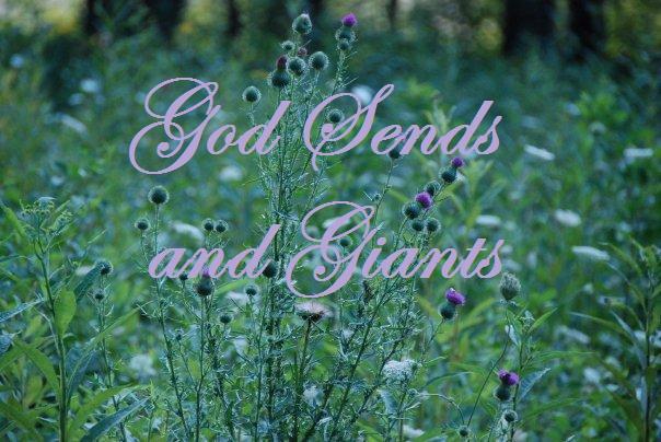 God Sends and Giants, by CindyGirl