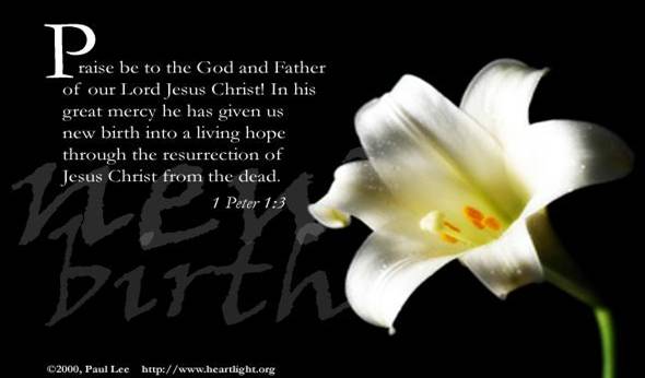 1 Peter 1:3 (25 kb)