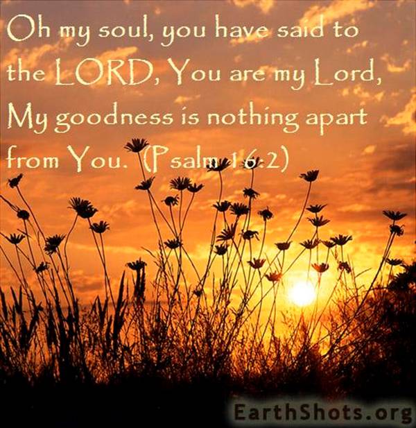 A Man After God&rsquo;s Own Heart, by CindyGirl